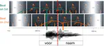 Bujok et al. (2025) accepted in Attention, Perception, & Psychophysics!